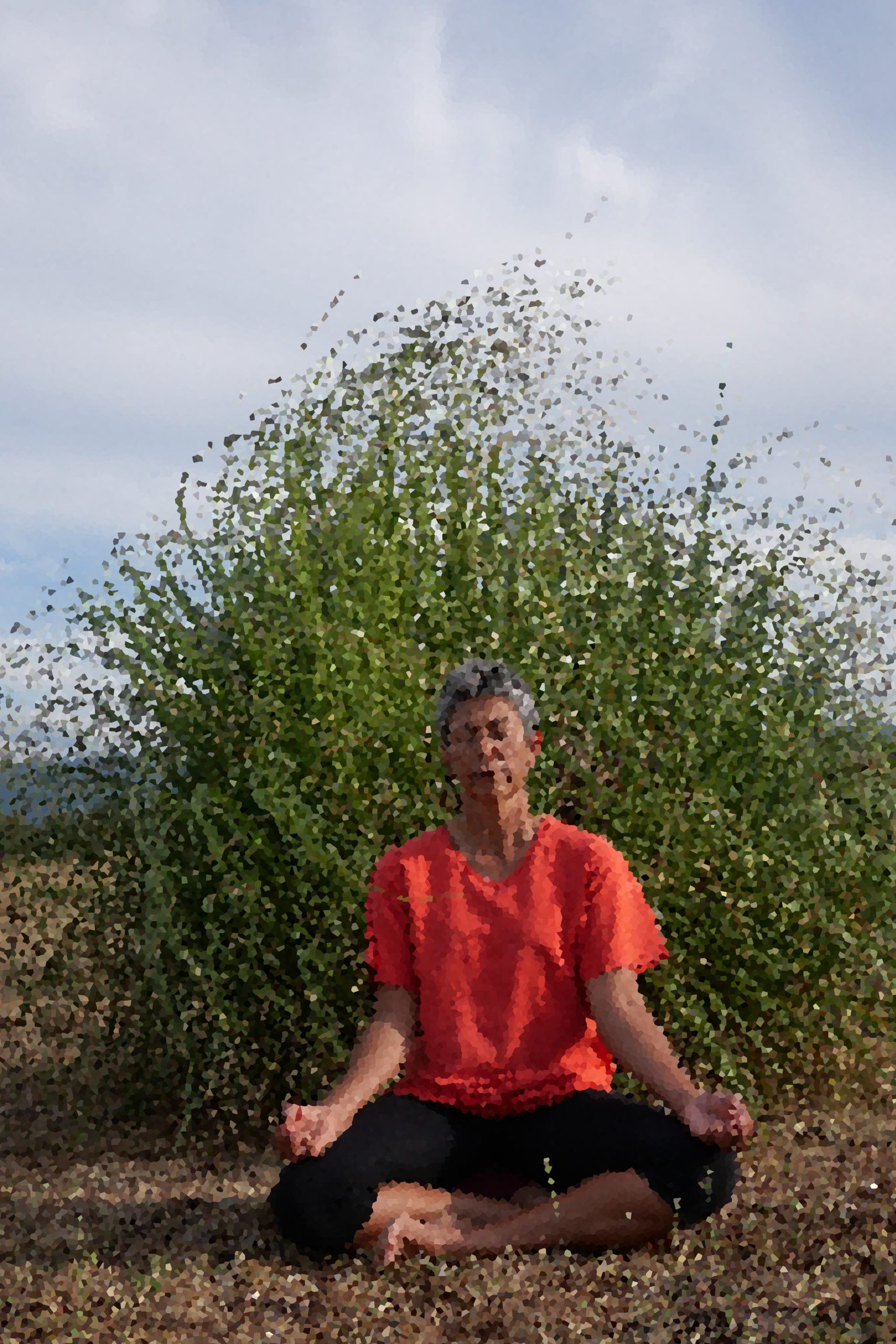 Atelier Méditation pleine conscience